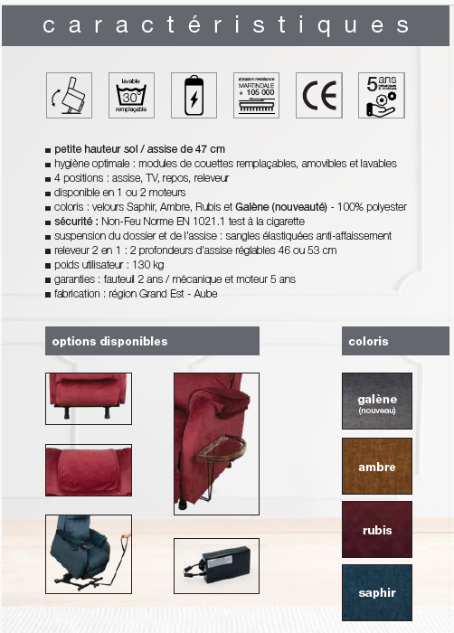Fauteuil Releveur Lux 2 Moteurs
