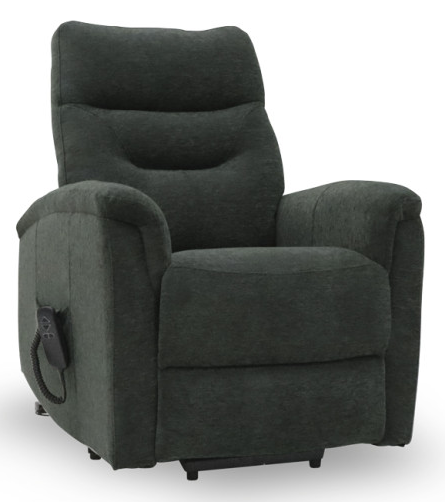 Fauteuil Releveur Georges 2 Moteurs