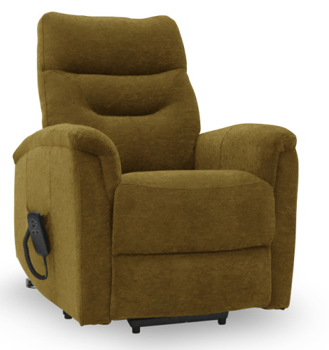Fauteuil Releveur Georges 2 Moteurs