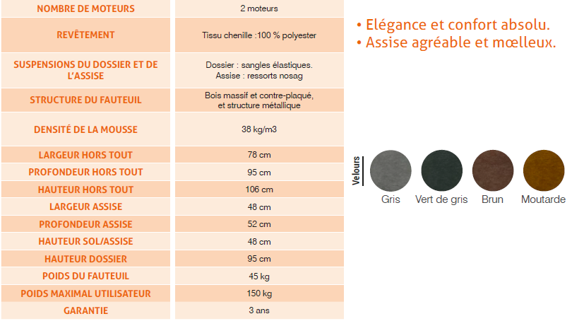 Fauteuil Releveur Georges 2 Moteurs